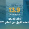 13.9 مليون دولار أرباح باديكو للنصف الأول من العام 2023