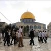 الاحتلال يواصل التضييق على المقدسات.. منع الأذان في الإبراهيمي واقتحام 124 مستوطنًا للأقصى