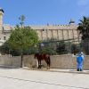 عمال فلسطينيون يقومون بتطهير البوابات والحواجز بالقرب من المسجد الإبراهيمي